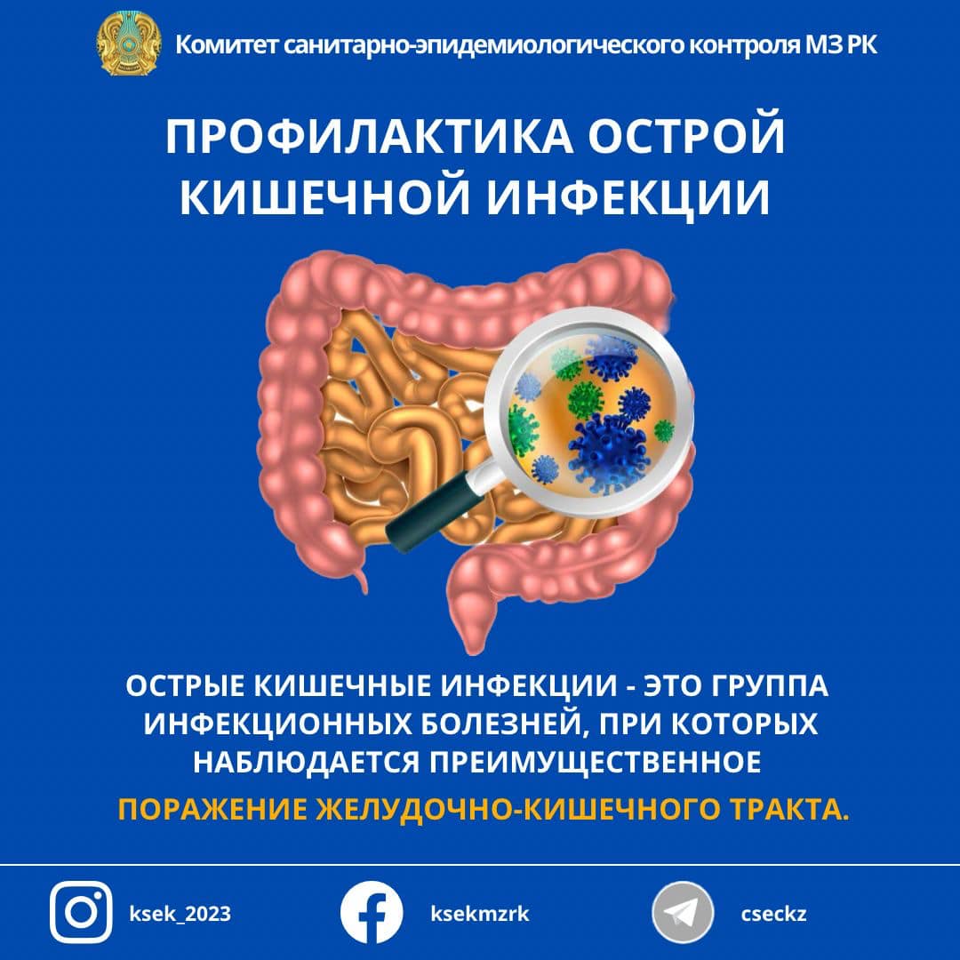 ПРОФИЛАКТИКА ОСТРОЙ КИШЕЧНОЙ ИНФЕКЦИИ ️